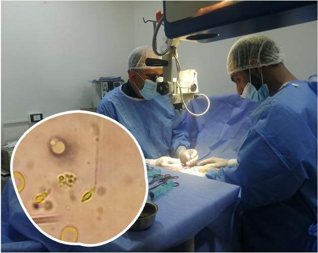 Zero sperm confirmation after vasectomy