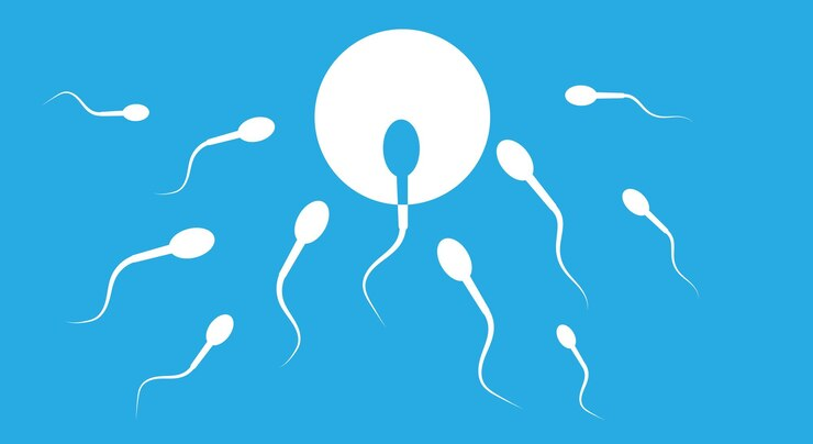 How Prolistem Activates the Non-Classical Pathway to Support Sperm Production in Azoospermia