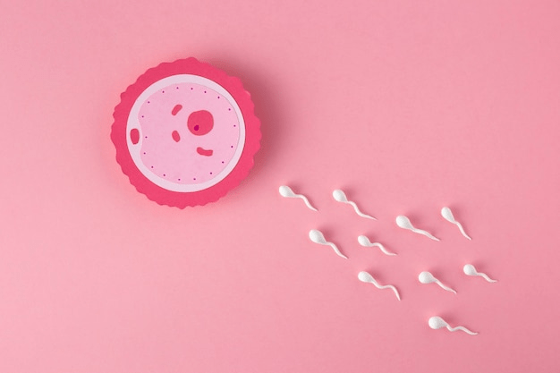 How can I increase my sperm in 7 days?